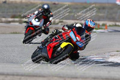 media/Mar-24-2025-2WTD (Mon) [[55b4b08488]]/B Group/220pm (Cotton Corners)/